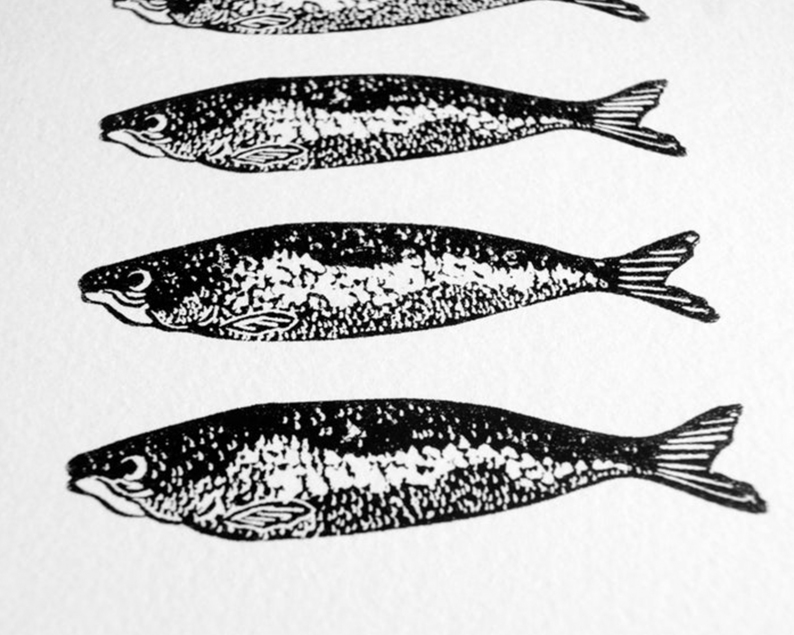 Twelve sardines screenprint close up2